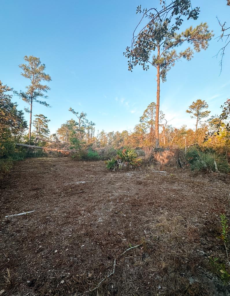 0 Porter Road Lake Park, GA 31636 - Photo 29 of 33 Gallery Image 29