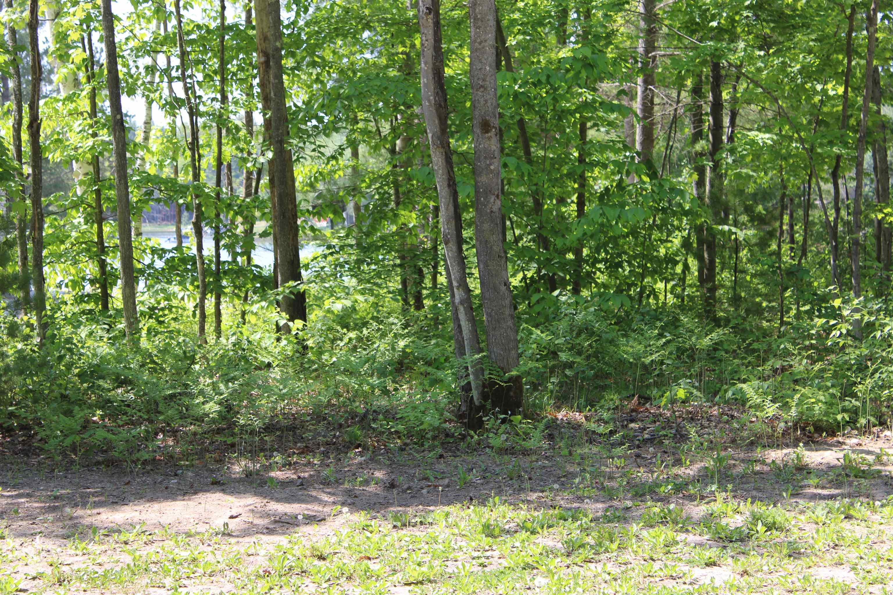 Vl Squaw Lake Road Kalkaska, MI 49646 - Photo 2 of 21