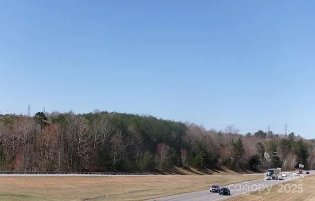 a view of a dry yard with green space