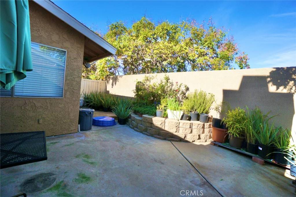 44557 La Paz Road Temecula, CA 92592 - Photo 18 of 24 a view of a backyard with plants and a barbeque