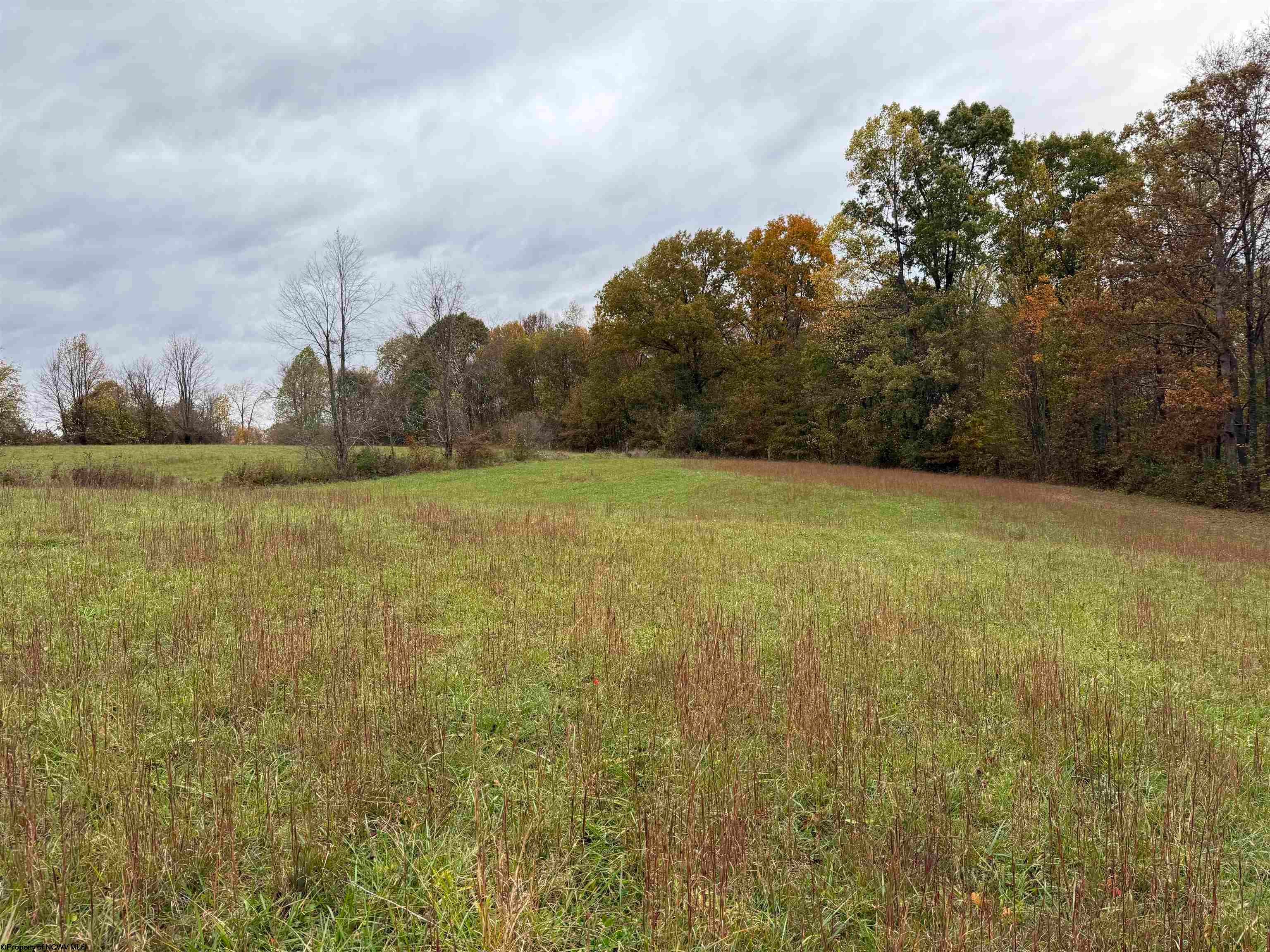 0 Riggins Kingwood, WV 26537 - Photo 21 of 40 Gallery Image 21