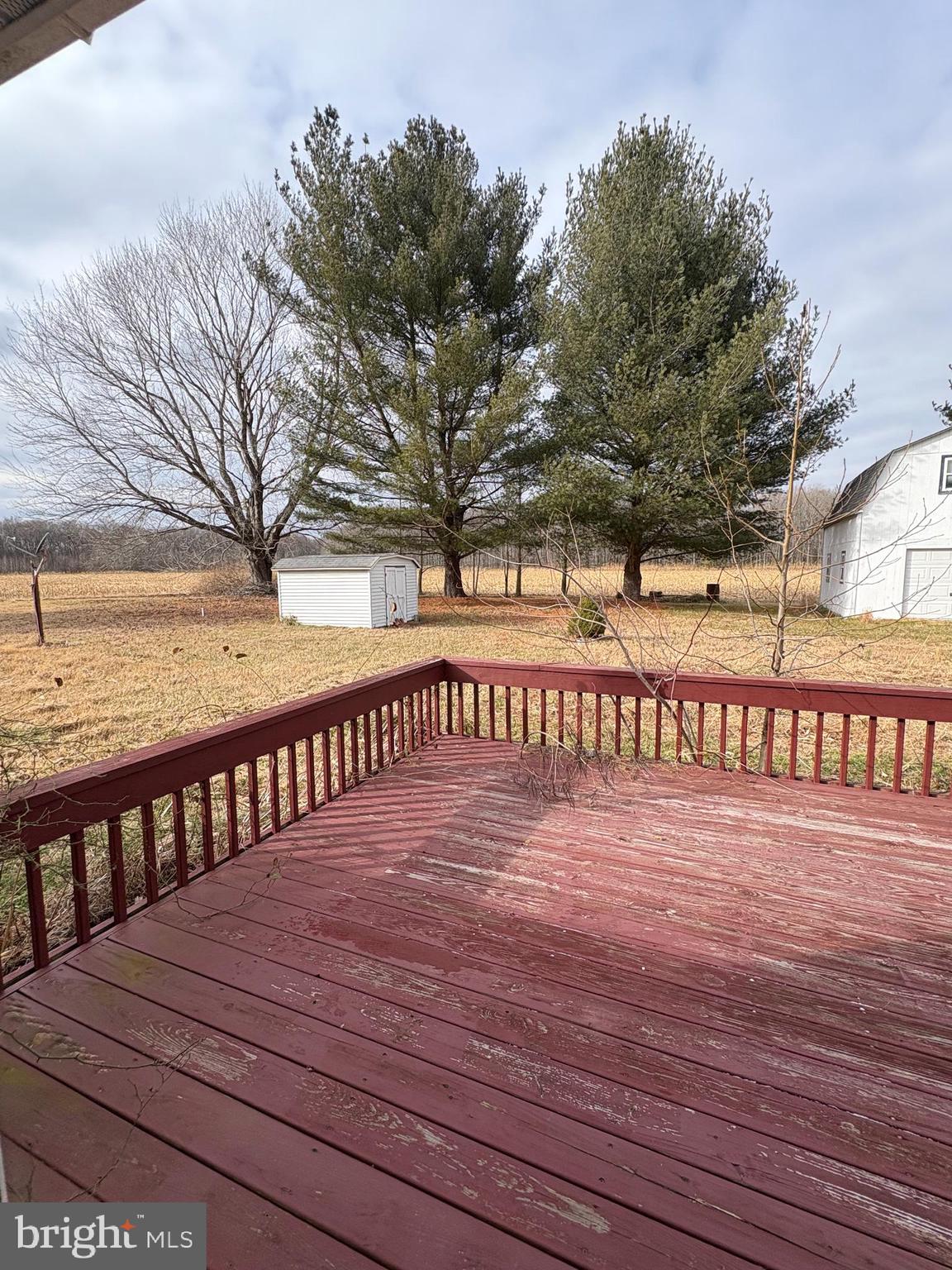 599 Kersey Road Viola, DE 19979 - Photo 3 of 4