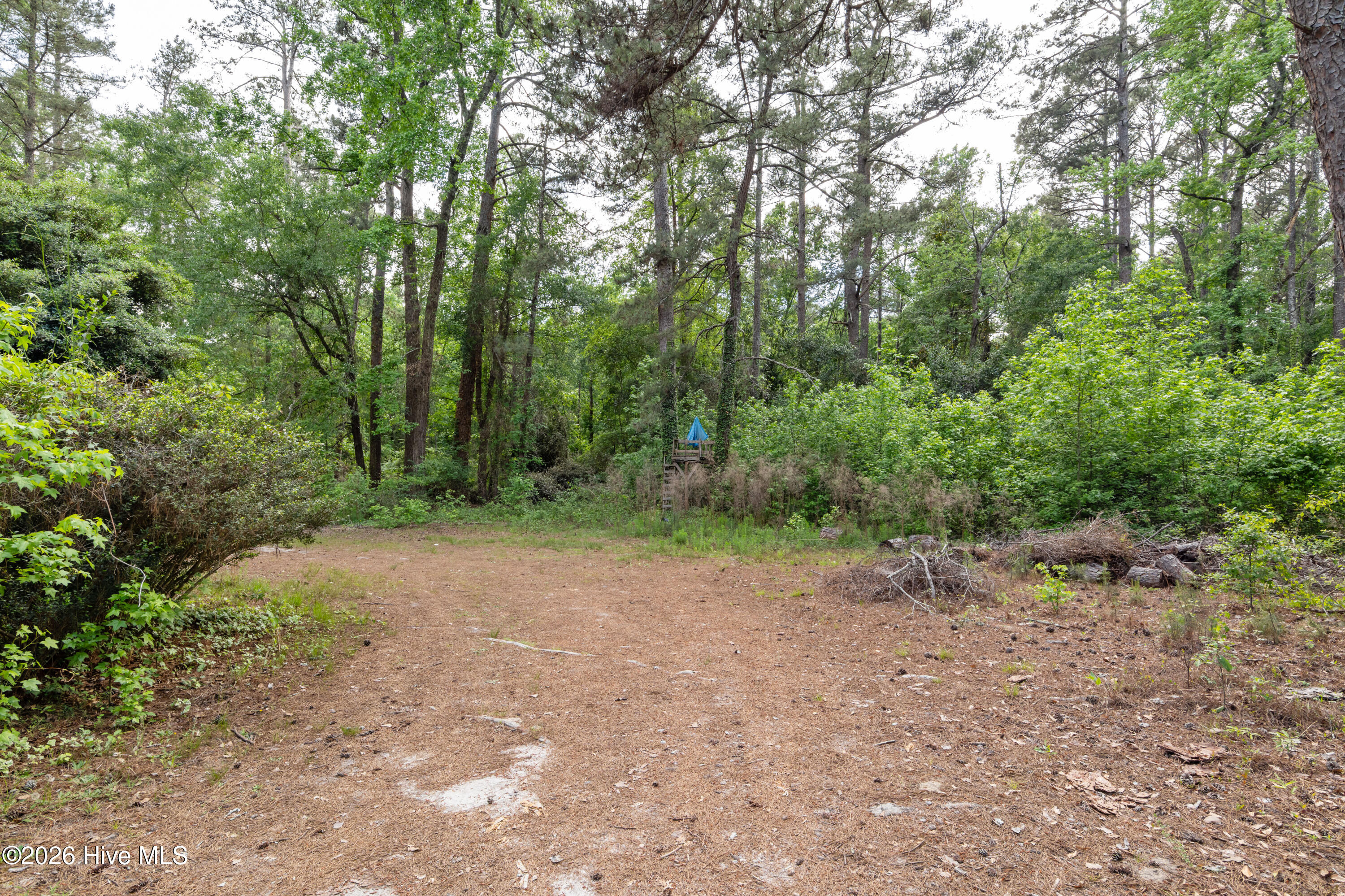1288 Wrightsboro Road Thomson, GA 30824 - Photo 19 of 26 51-P2078022
