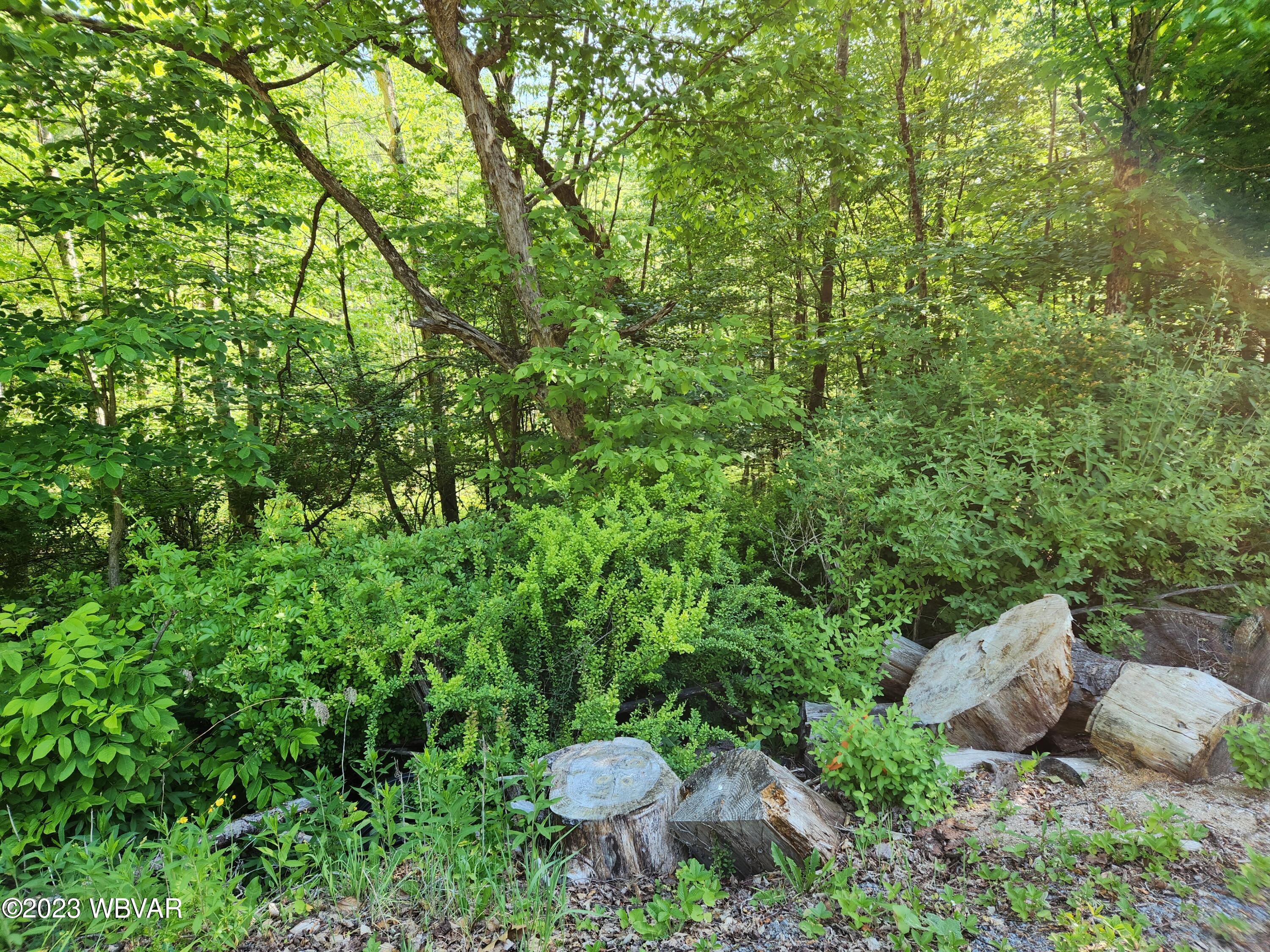 Spring House Road, Unit 53 Muncy Valley, PA 17758 - Photo 4 of 4 Gallery Image 4