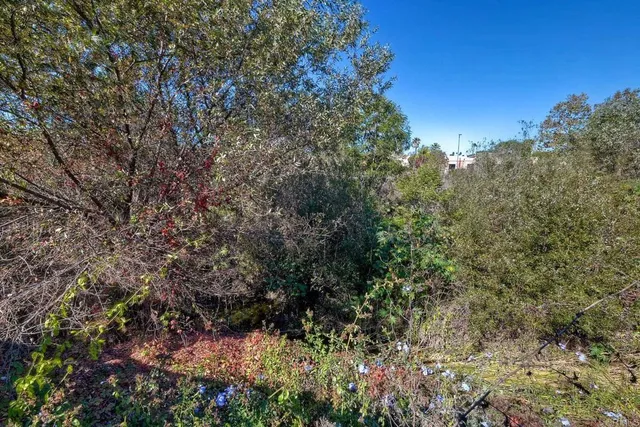 a view of a large yard with lots of green space