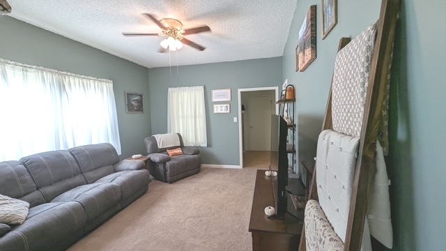 817 Chestnut Avenue Dixon, IL 61021 - Photo 14 of 31 a living room with furniture and a fireplace