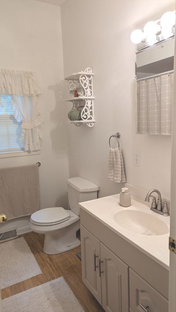 817 Chestnut Avenue Dixon, IL 61021 - Photo 20 of 31 a bathroom with a sink a toilet and mirror