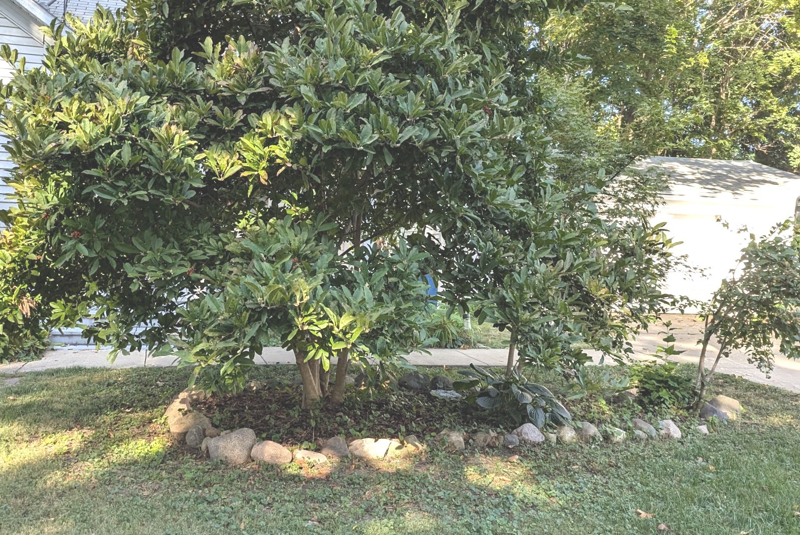 817 Chestnut Avenue Dixon, IL 61021 - Photo 28 of 31 a backyard of a house with a yard and outdoor seating