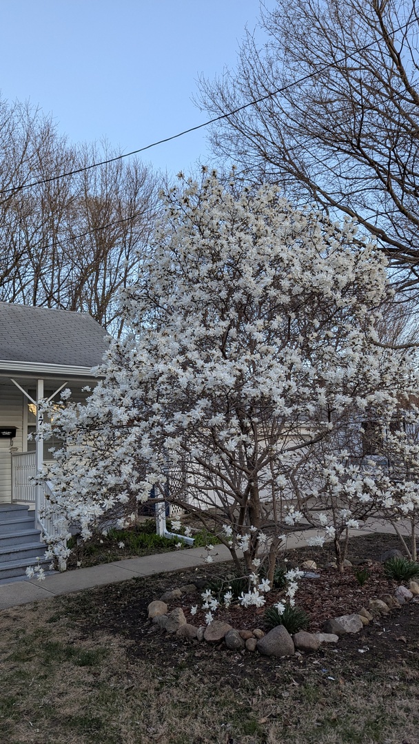 817 Chestnut Avenue Dixon, IL 61021 - Photo 29 of 31 a view of outdoor space and yard