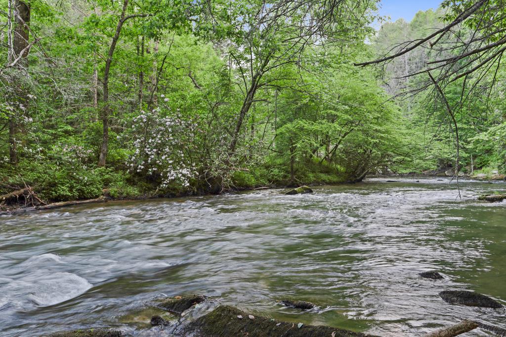 16 Navajo Trail McCaysville, GA 30555 - Photo 2 of 43