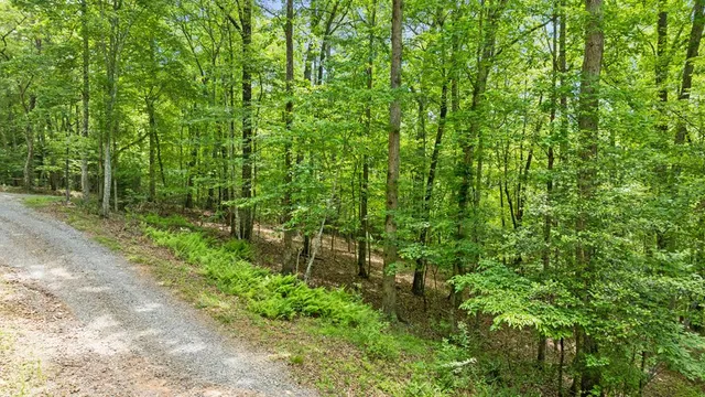 $2,895,000 | 16 Navajo Trail, McCaysville, GA 30555