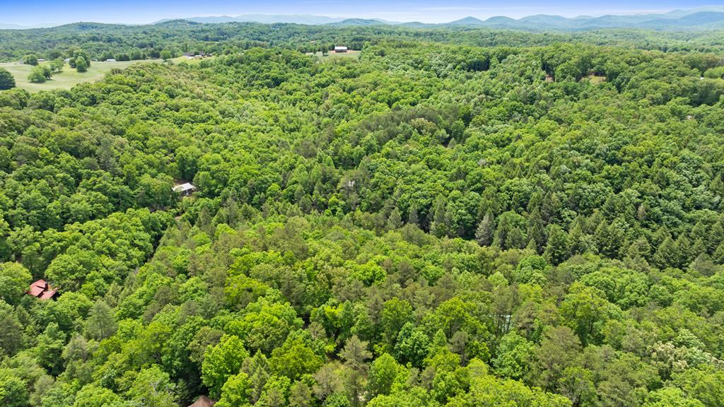 16 Navajo Trail McCaysville, GA 30555 - Photo 31 of 43