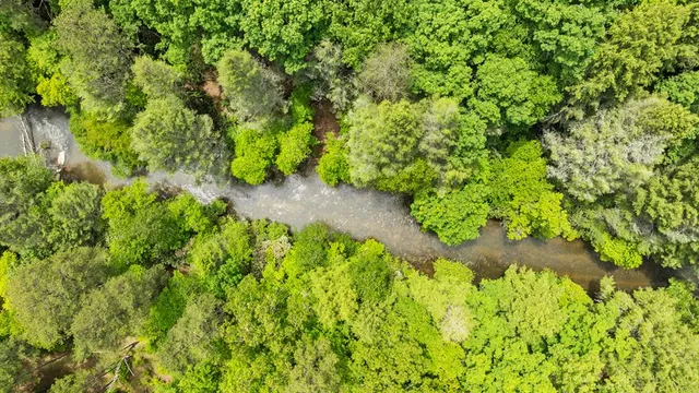 $2,895,000 | 16 Navajo Trail, McCaysville, GA 30555