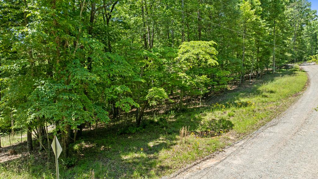 16 Navajo Trail McCaysville, GA 30555 - Photo 34 of 43