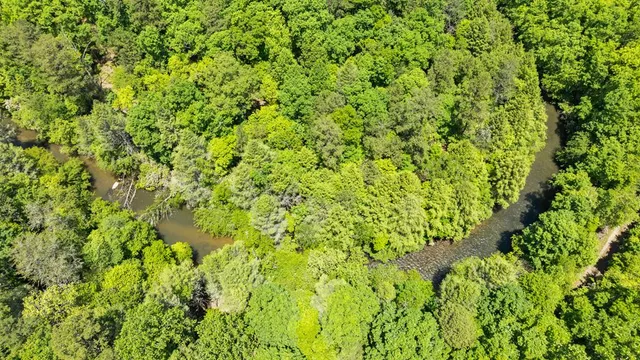 $2,895,000 | 16 Navajo Trail, McCaysville, GA 30555