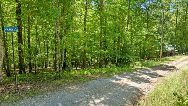 $2,895,000 | 16 Navajo Trail, McCaysville, GA 30555