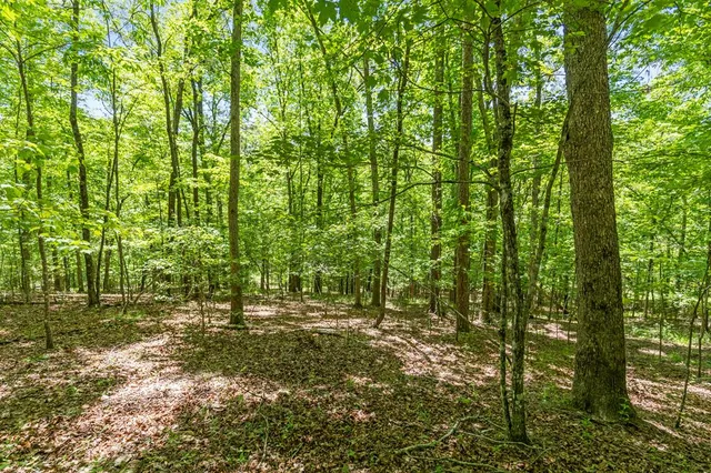 $2,895,000 | 16 Navajo Trail, McCaysville, GA 30555