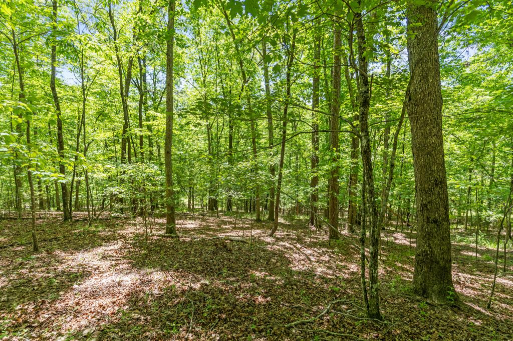 16 Navajo Trail McCaysville, GA 30555 - Photo 43 of 43