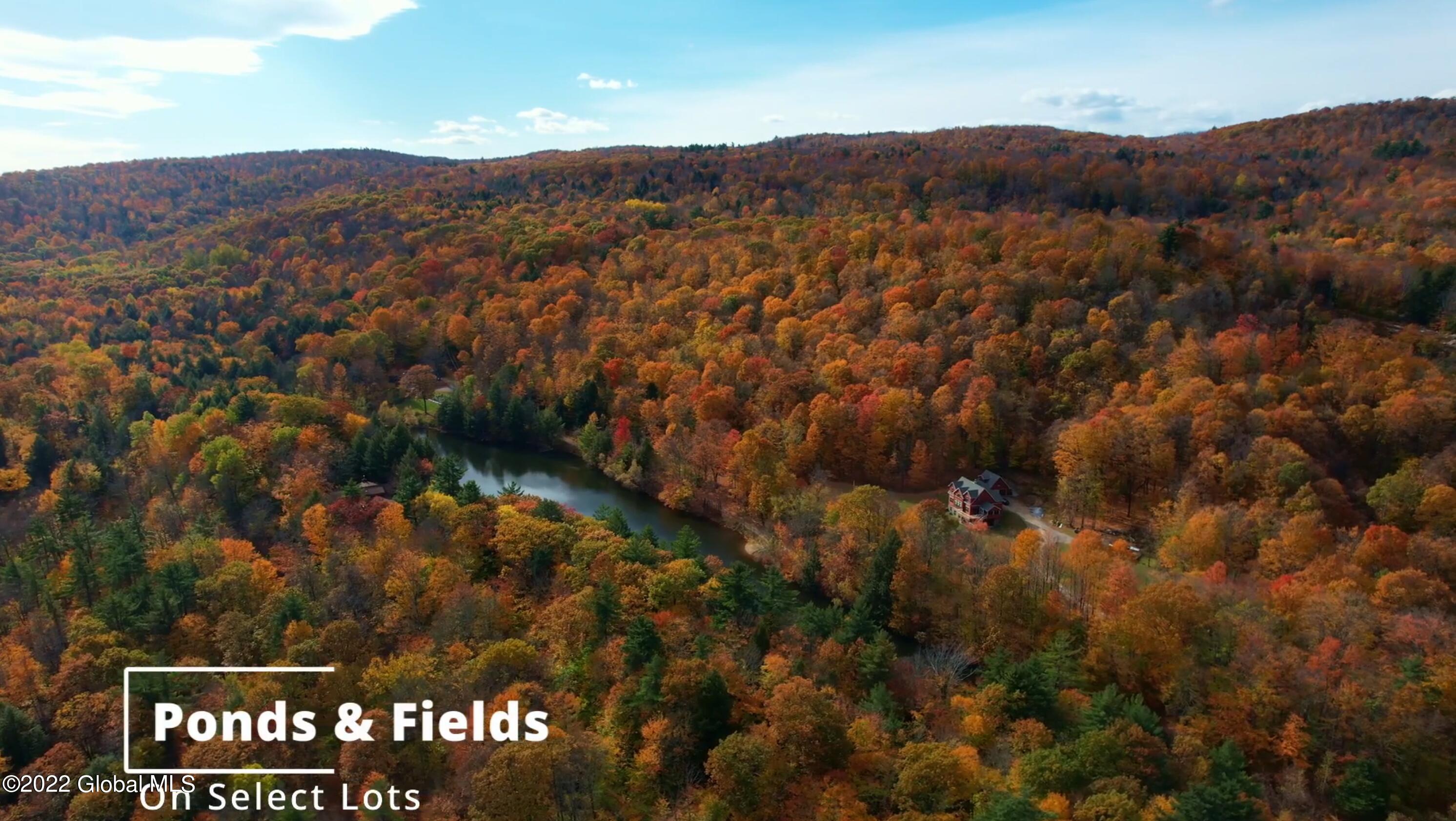 369 Plank Road Greenfield, NY 12859 - Photo 11 of 24 11