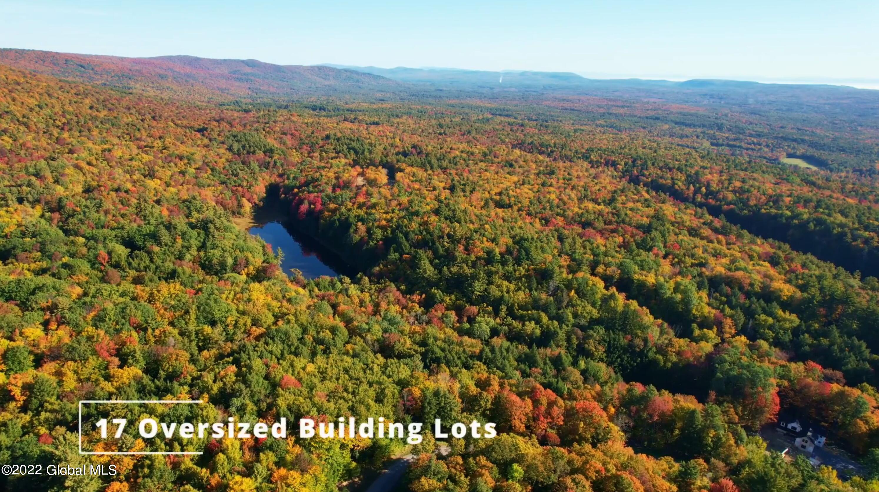 369 Plank Road Greenfield, NY 12859 - Photo 3 of 24 2