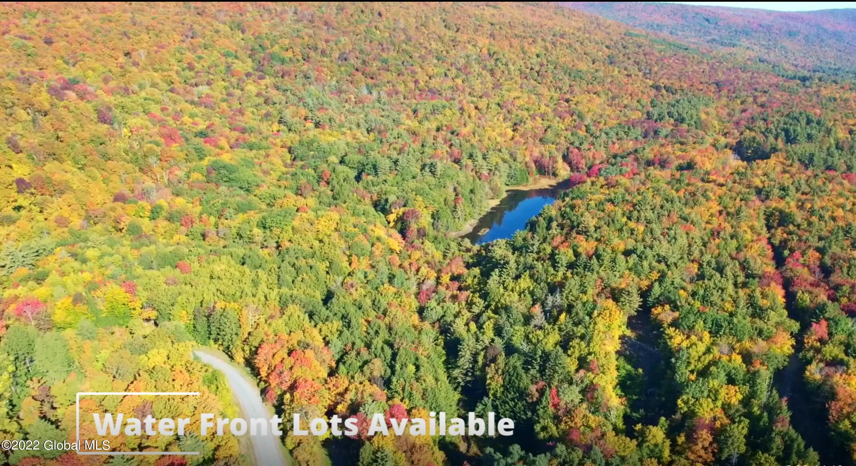 369 Plank Road Greenfield, NY 12859 - Photo 5 of 24 6