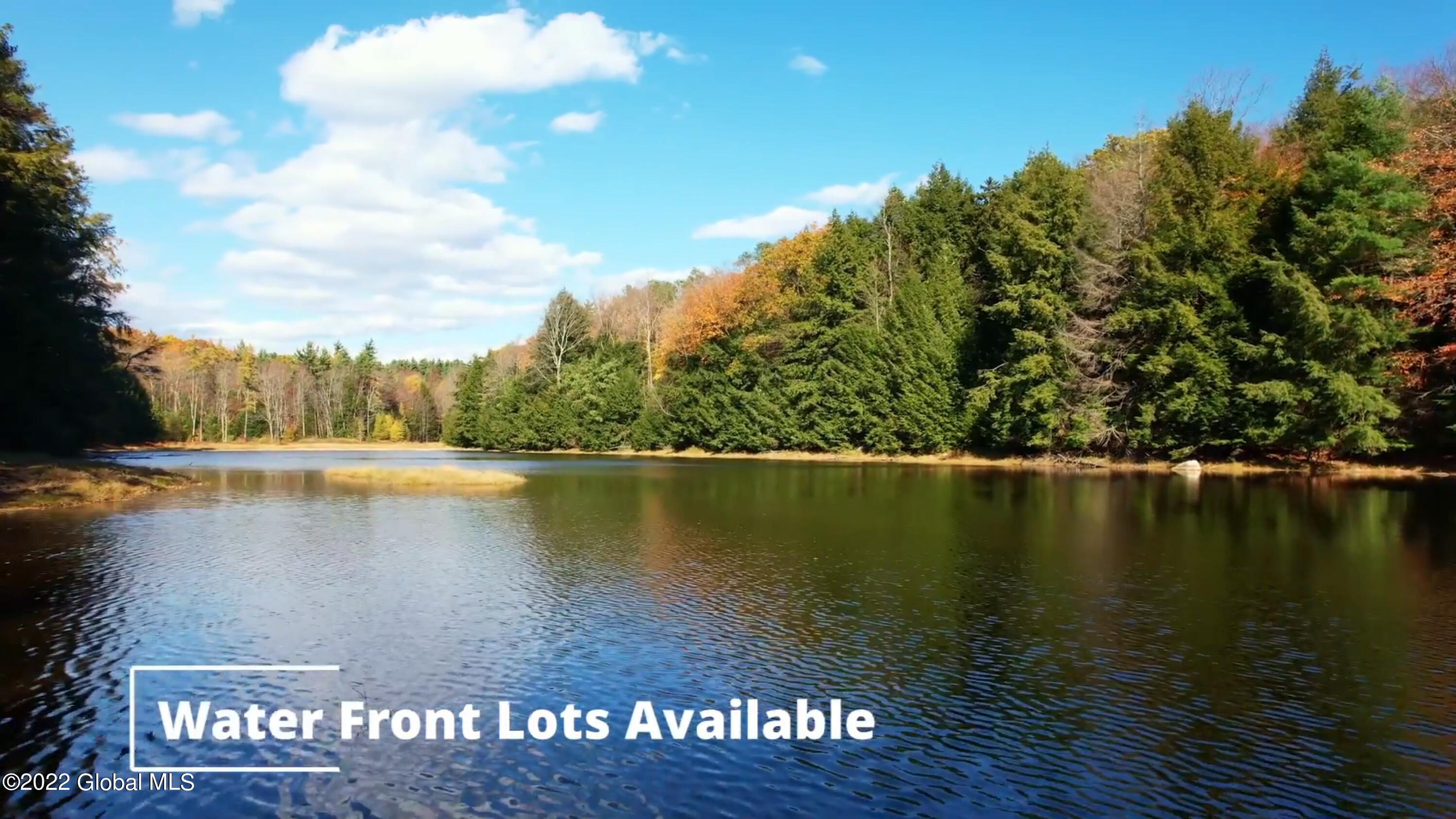 369 Plank Road Greenfield, NY 12859 - Photo 6 of 24 7