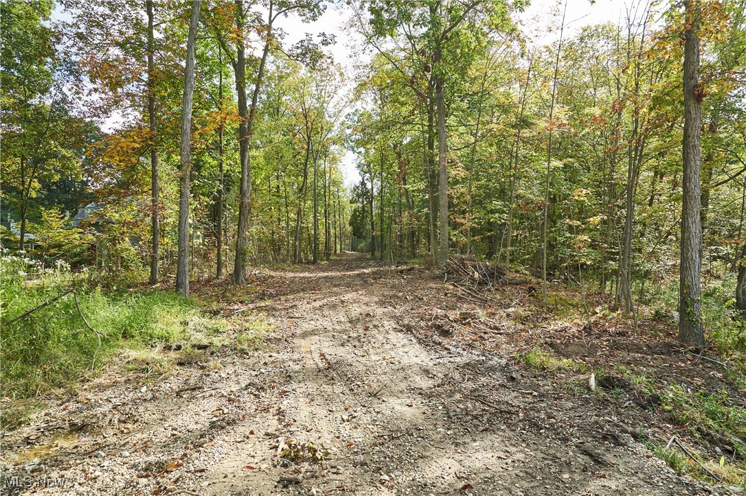 6697 Boneta Road Medina, OH 44256 - Photo 5 of 15