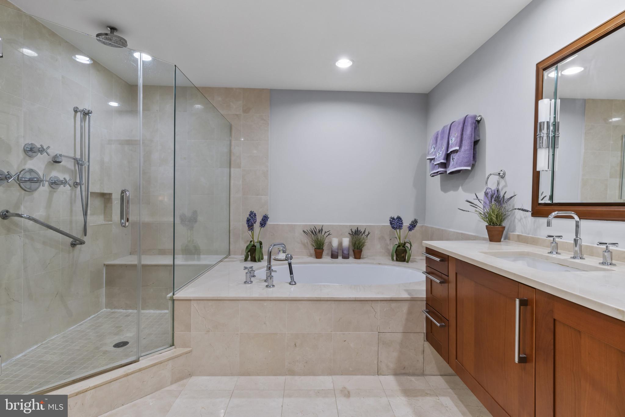 801 Key Highway, Unit 251 Baltimore, MD 21230 - Photo 35 of 57 a bathroom with a tub sink shower and mirror