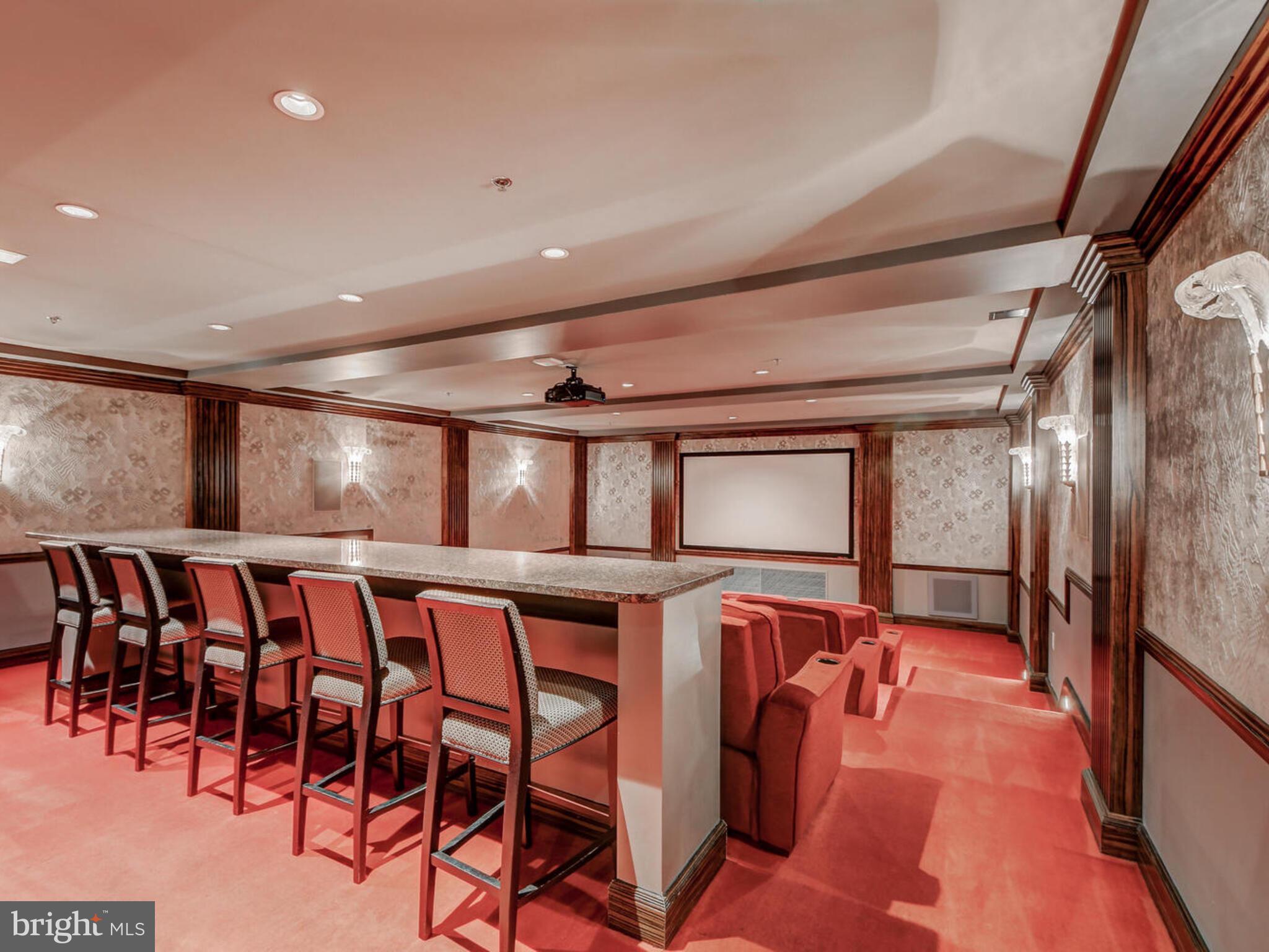 801 Key Highway, Unit 251 Baltimore, MD 21230 - Photo 54 of 57 Theatre