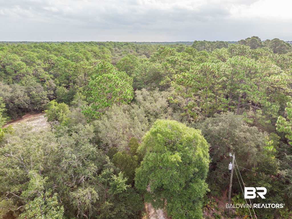 30961 Pine Street Elberta, AL 36530 - Photo 14 of 27