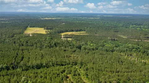 $150,000 | Track 3 Fm 942, Livingston, TX 77351