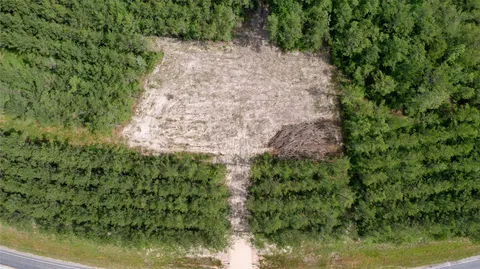 a view of a garden with plants