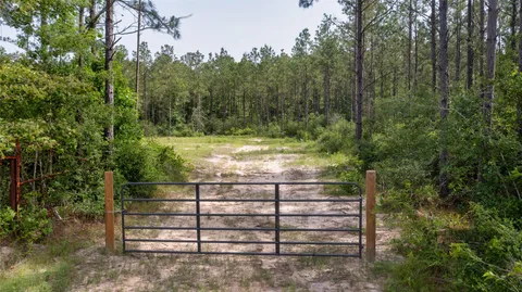 a view of a wooden wall and trees