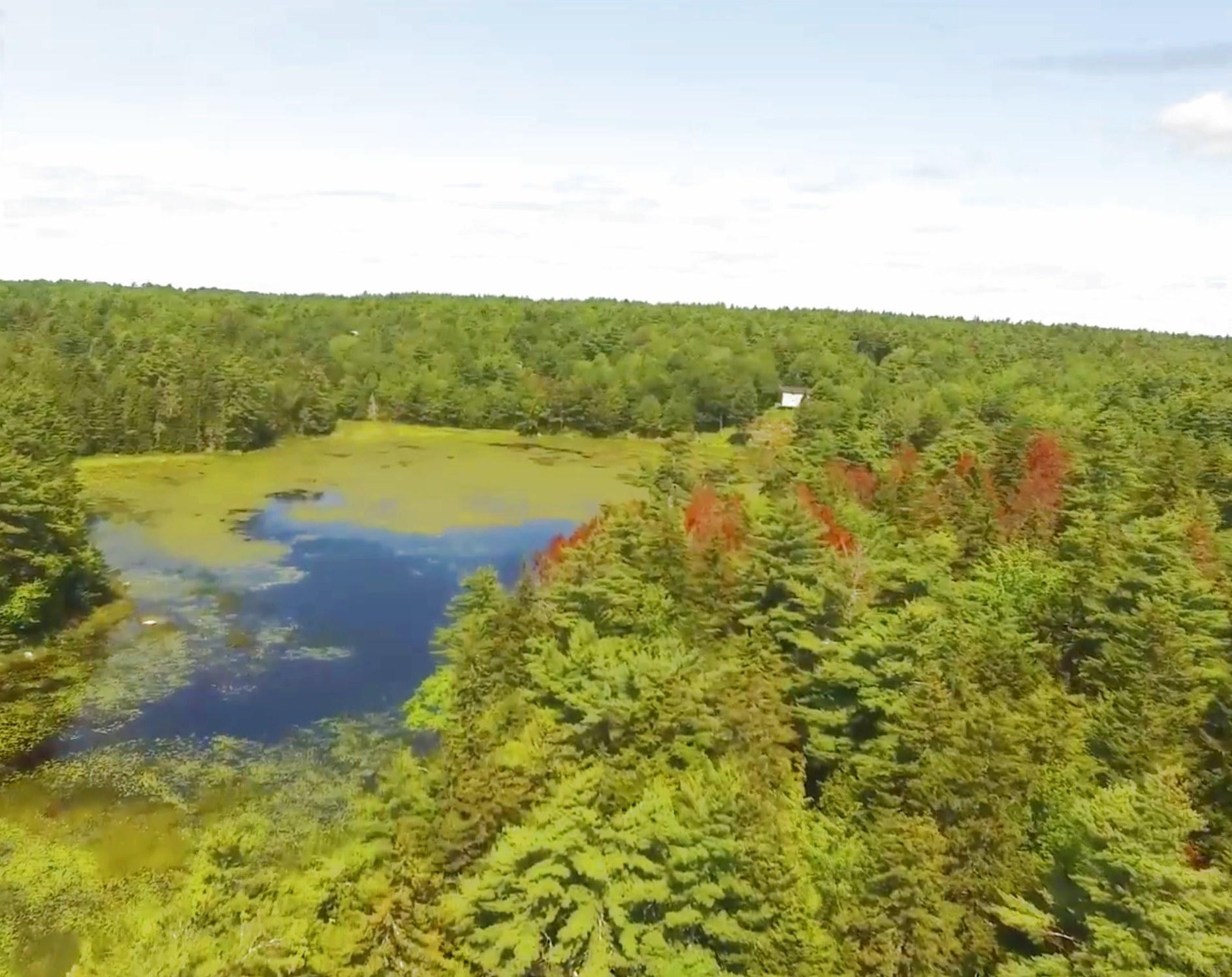 D Lakeside Road Mount Desert, ME 04660 - Photo 1 of 20 Little Echo REPVIDEOAMJPG45