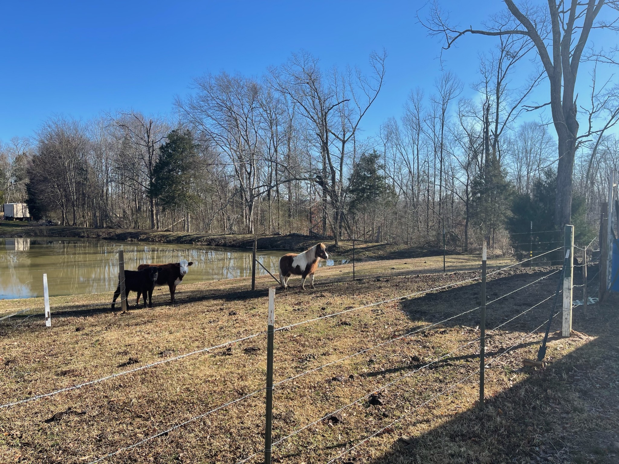 768 Gilchrist Road Adamsville, TN 38310 - Photo 6 of 15 Gallery Image 6