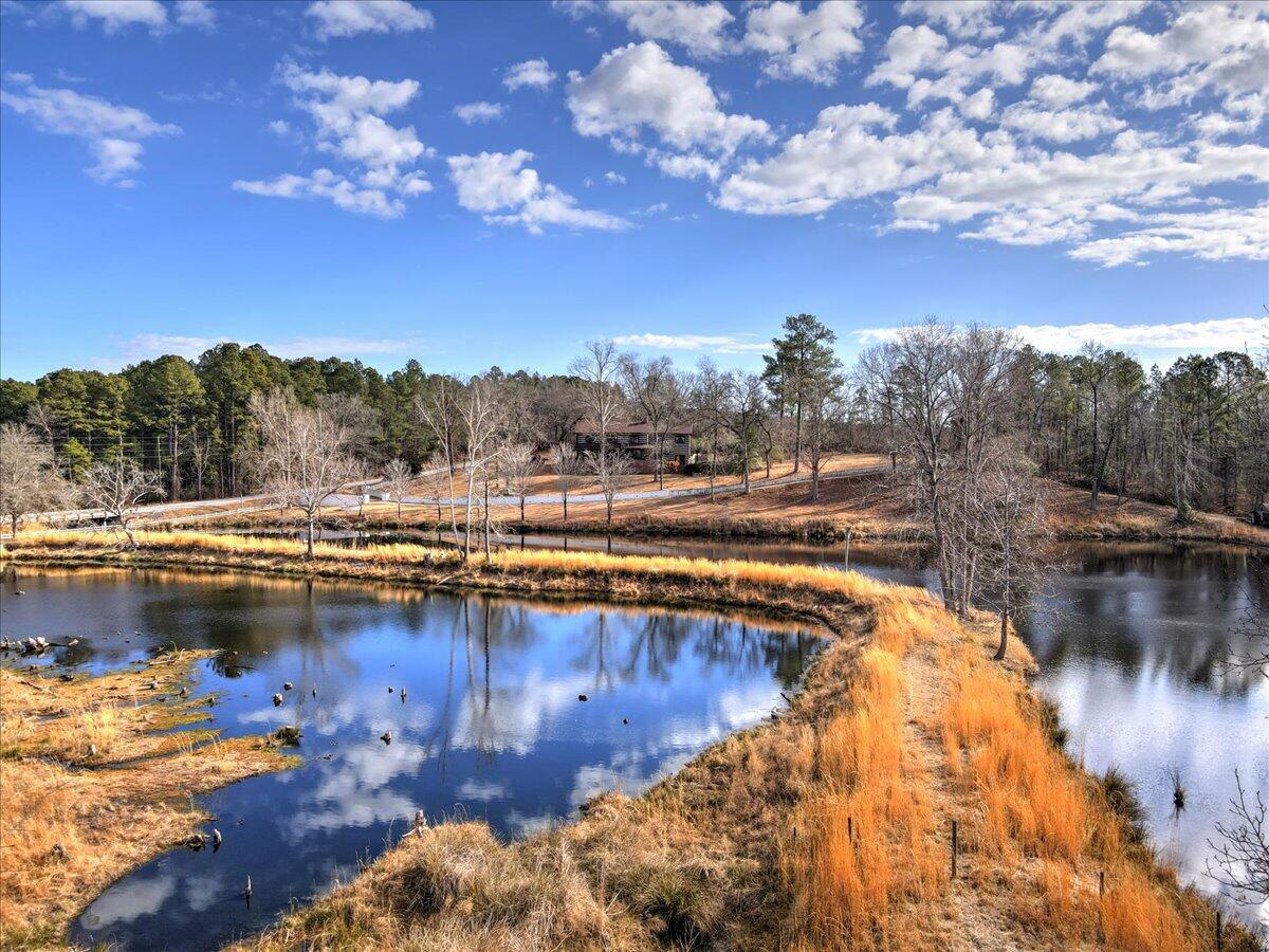 310 Grandys Mill Road Williston, SC 29853 - Photo 45 of 65
