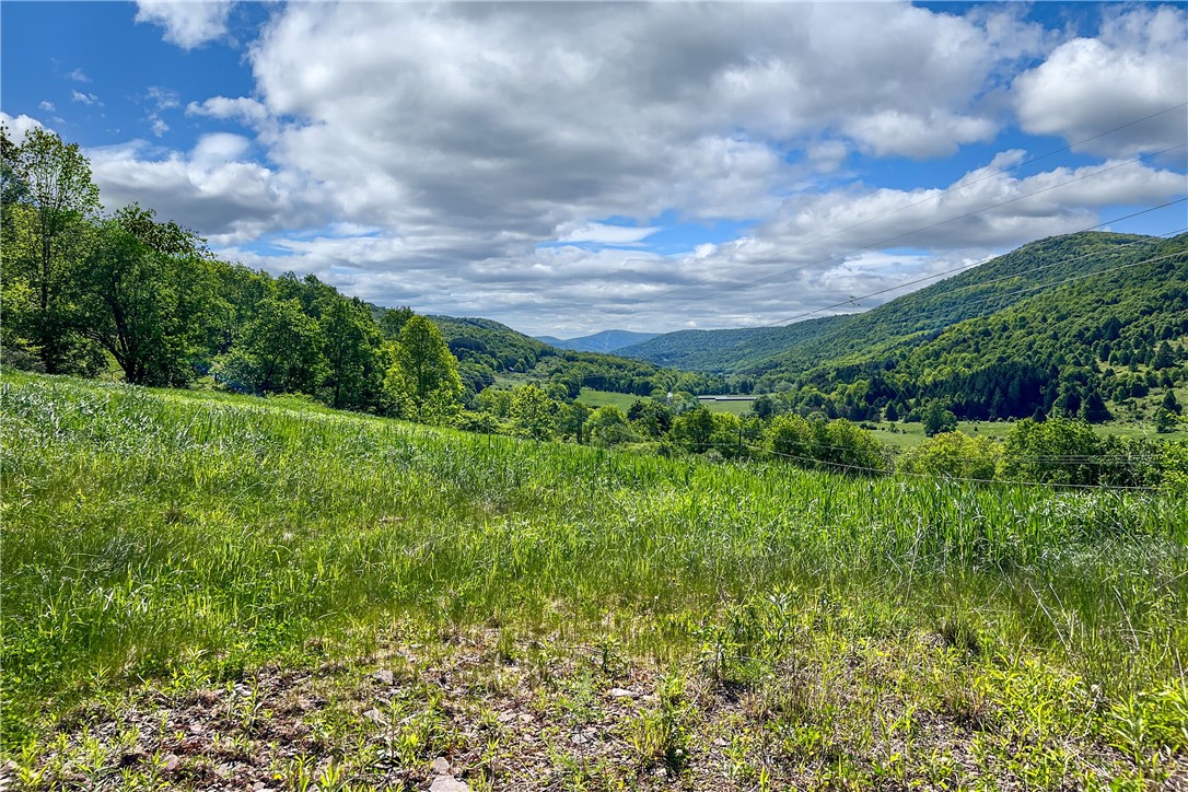 26 Federal Hill Road Delhi, NY 13753 - Photo 34 of 50