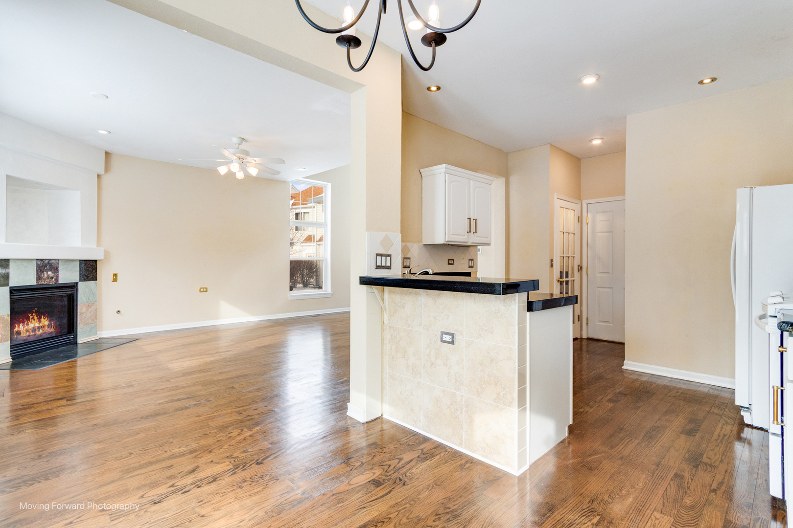 1141 Delta Court Elgin, IL 60123 - Photo 18 of 48