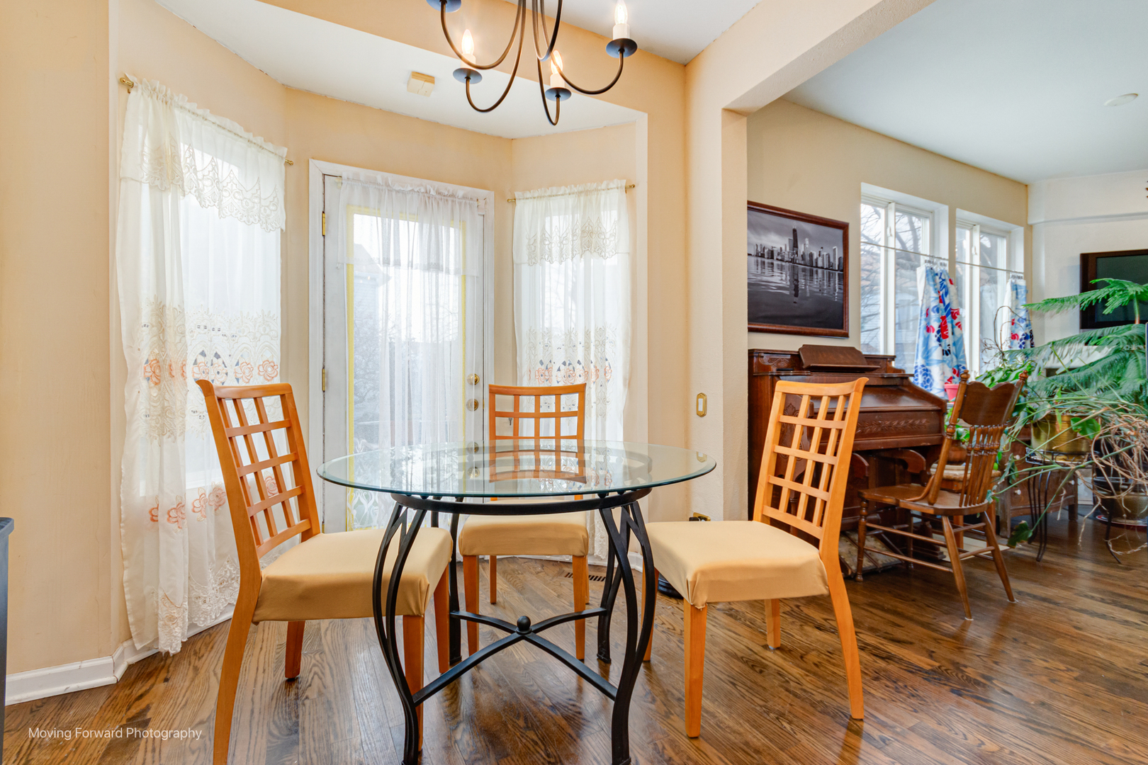 1141 Delta Court Elgin, IL 60123 - Photo 20 of 41