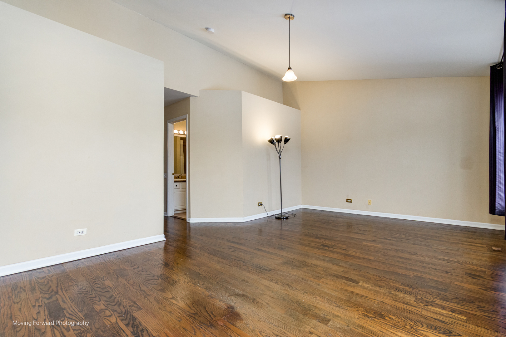 1141 Delta Court Elgin, IL 60123 - Photo 29 of 48