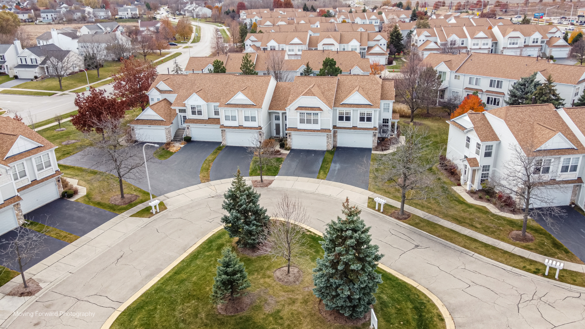 1141 Delta Court Elgin, IL 60123 - Photo 4 of 41