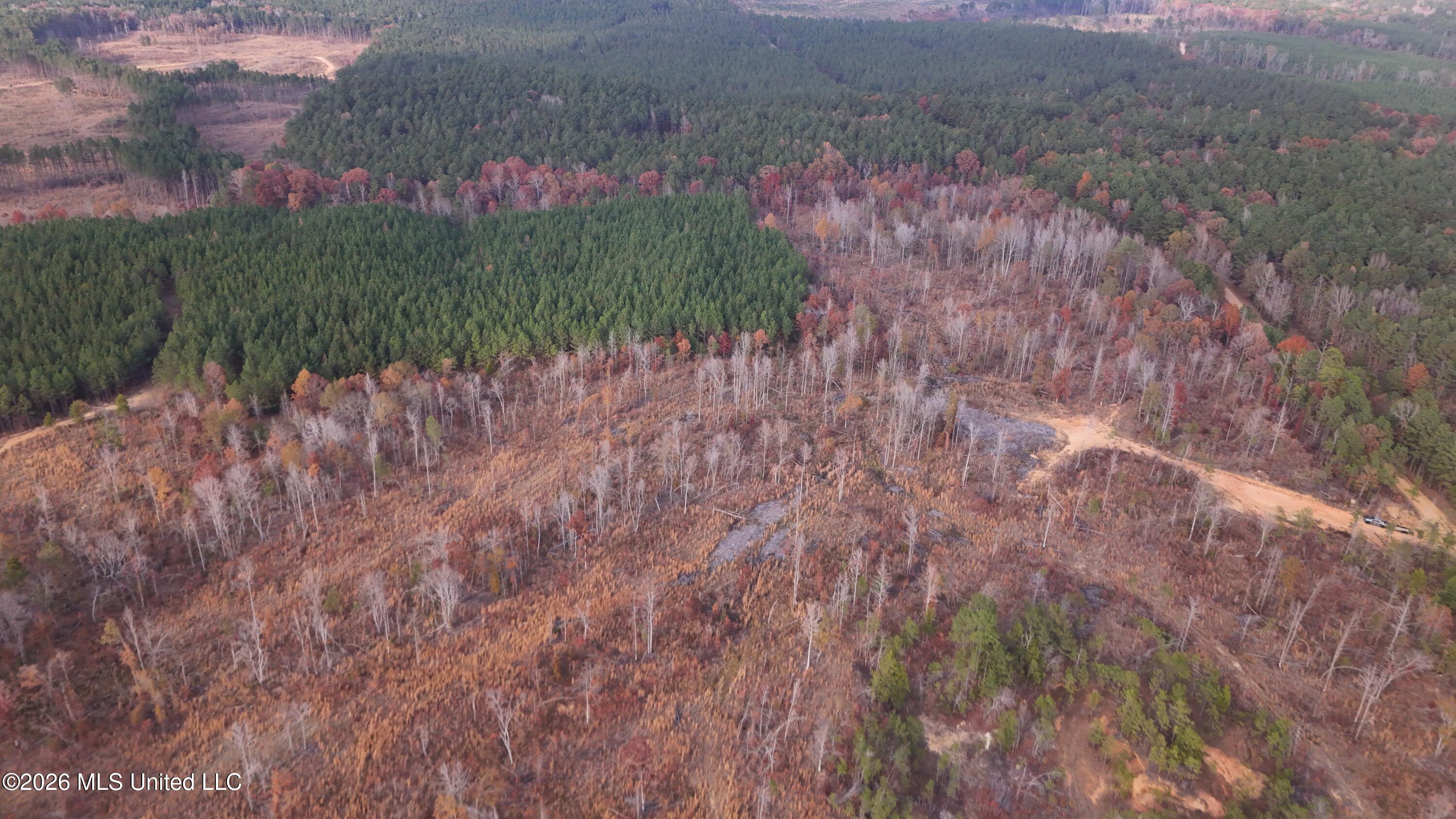 Old Trace Road McCool, MS 39108 - Photo 11 of 30 DJI_20251119155548_0101_D