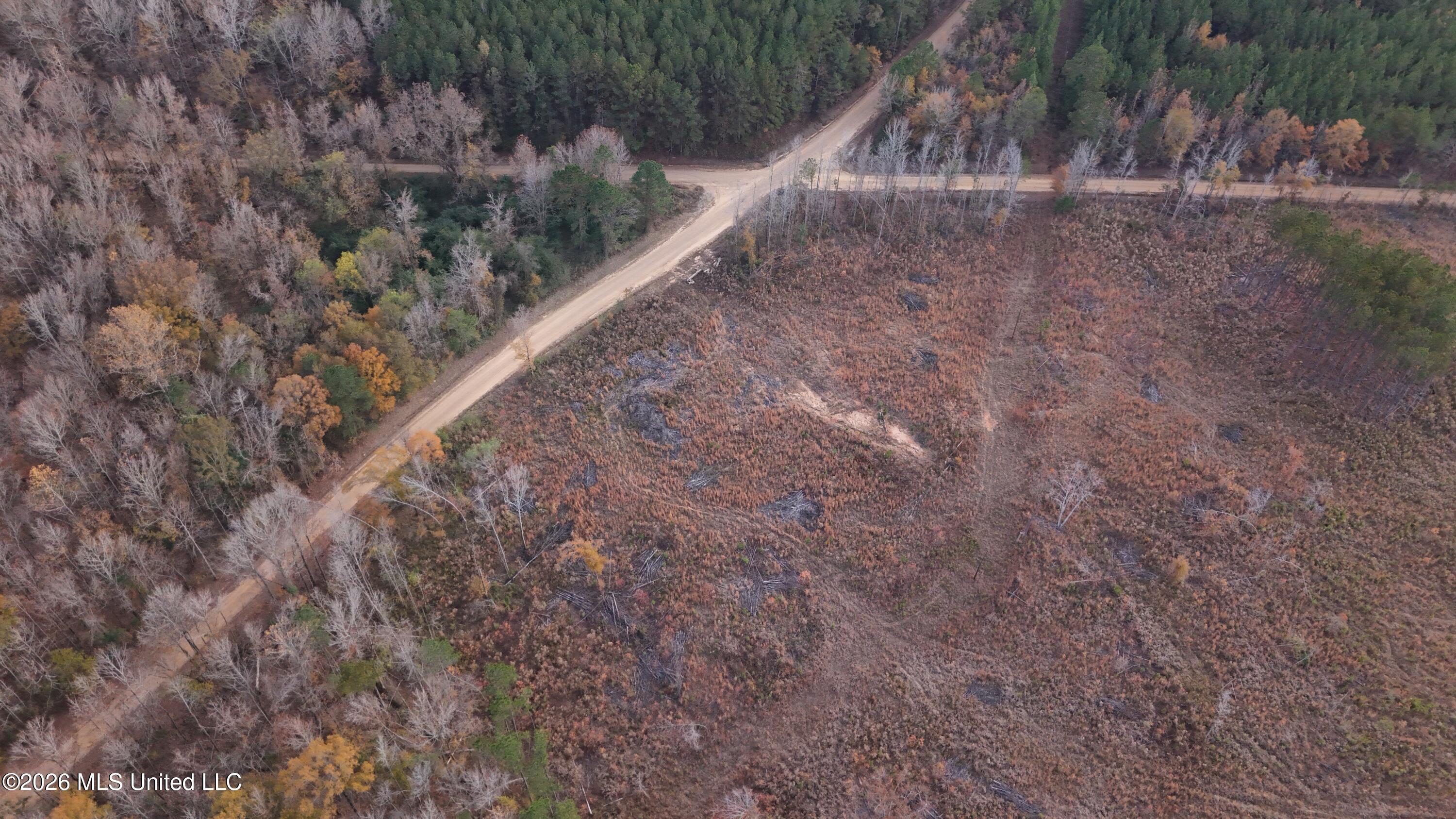 Old Trace Road McCool, MS 39108 - Photo 12 of 30 DJI_20251119155544_0100_D