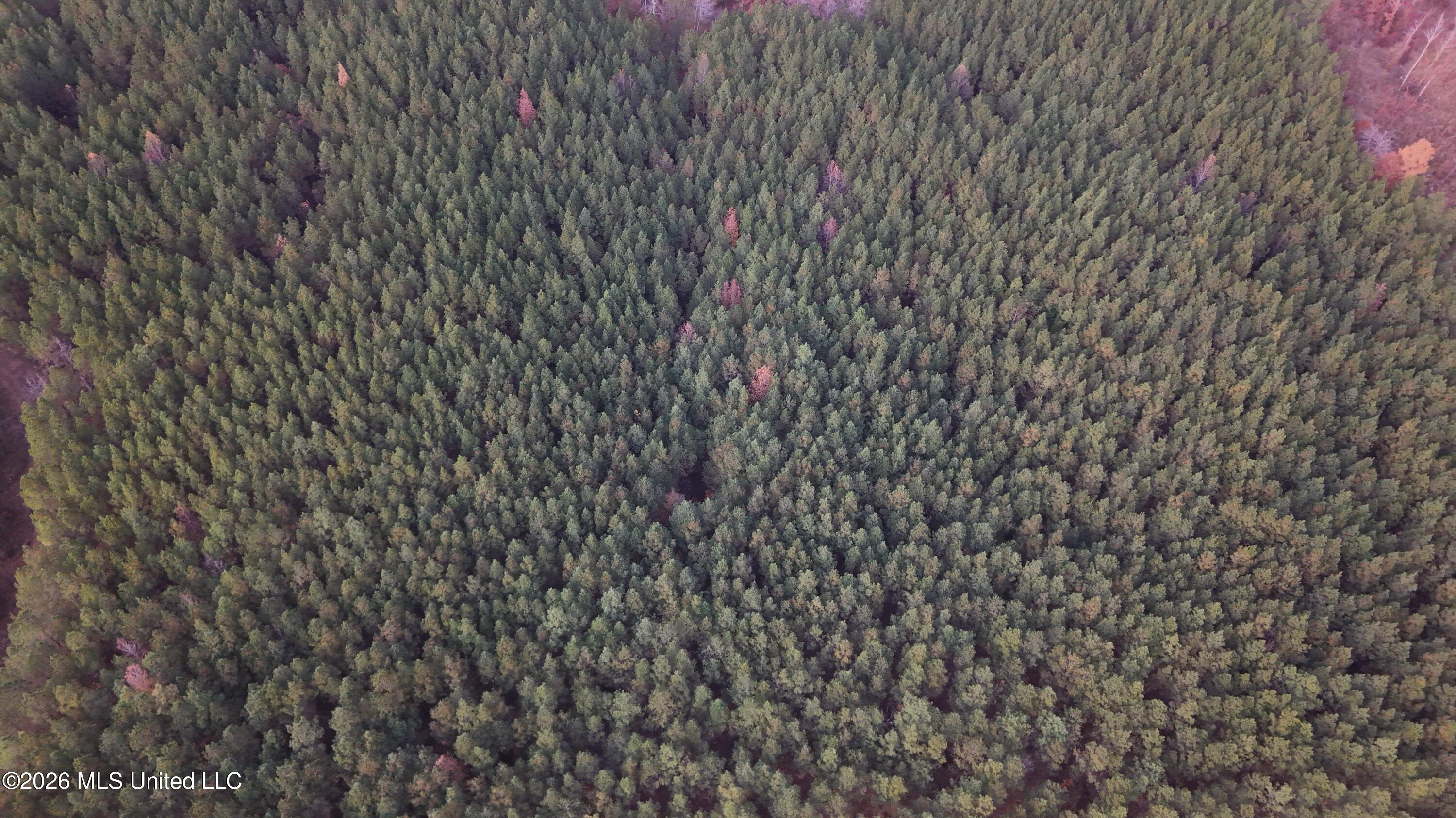 Old Trace Road McCool, MS 39108 - Photo 13 of 30 DJI_20251119155644_0104_D