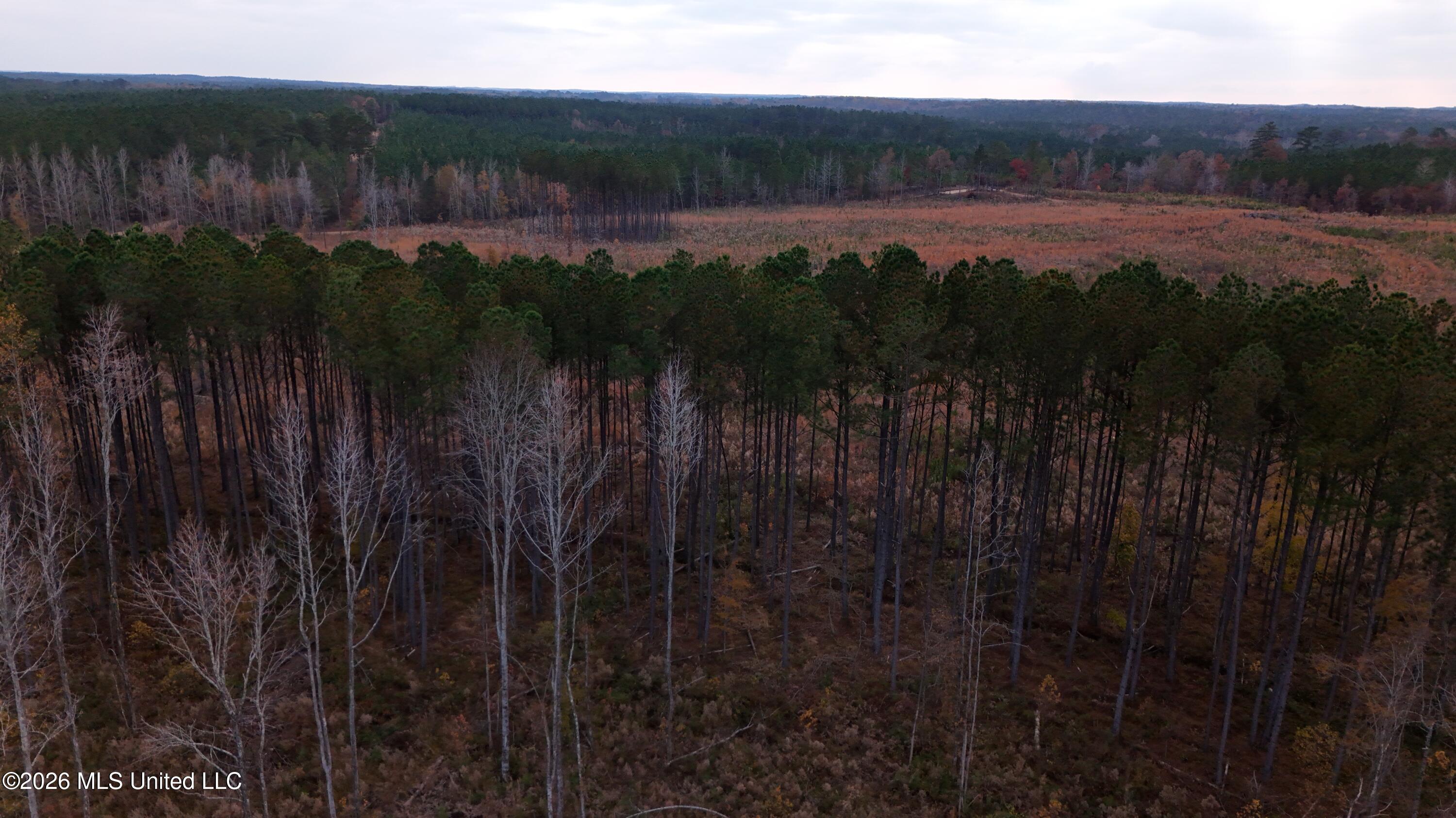 Old Trace Road McCool, MS 39108 - Photo 15 of 30 DJI_20251119161110_0113_D