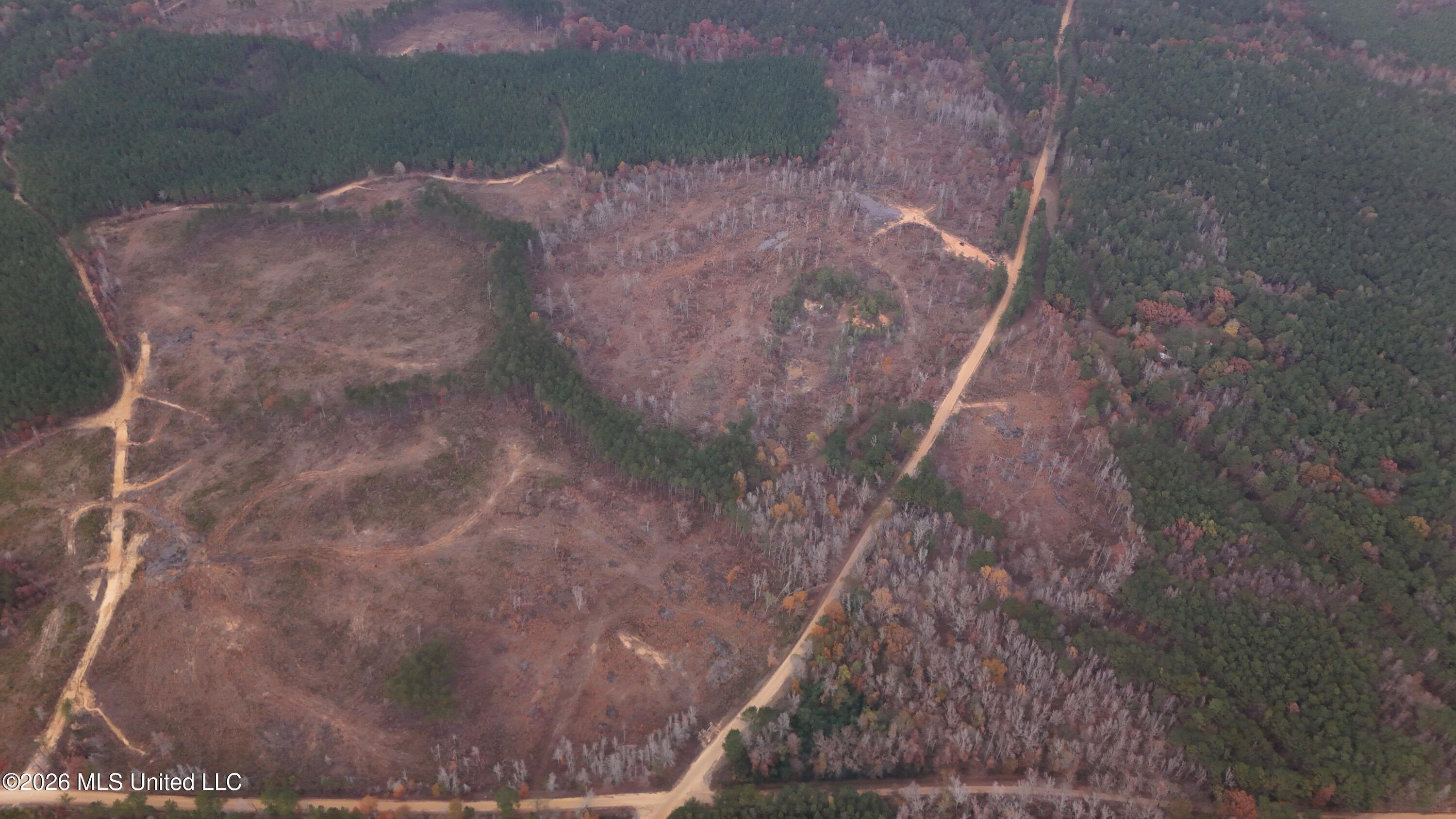 Old Trace Road McCool, MS 39108 - Photo 16 of 30 DJI_20251119161321_0115_D