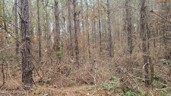 $240,600 | Old Trace Road, McCool, MS 39108