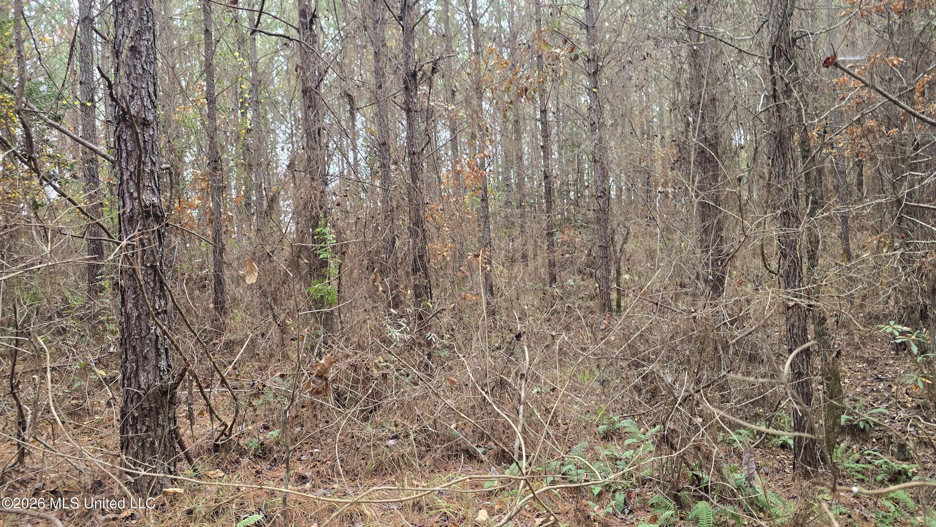 Old Trace Road McCool, MS 39108 - Photo 17 of 30 20251119_124855