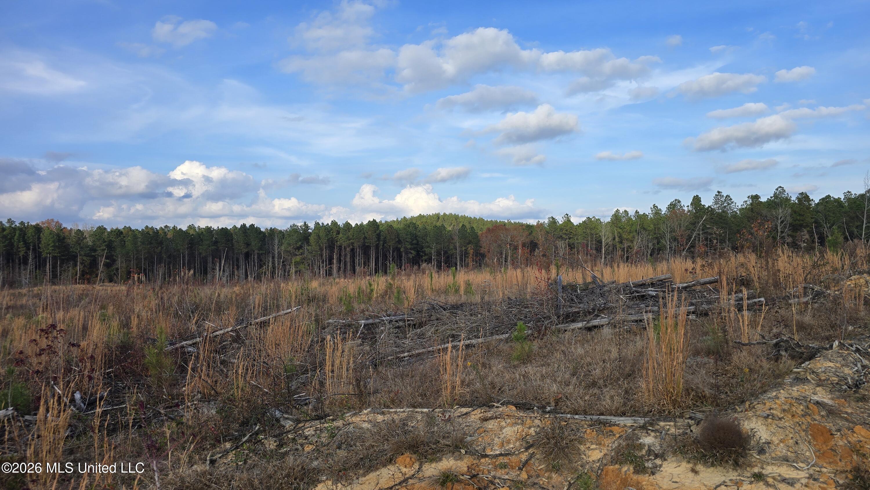 Old Trace Road McCool, MS 39108 - Photo 20 of 30 20251119_145807