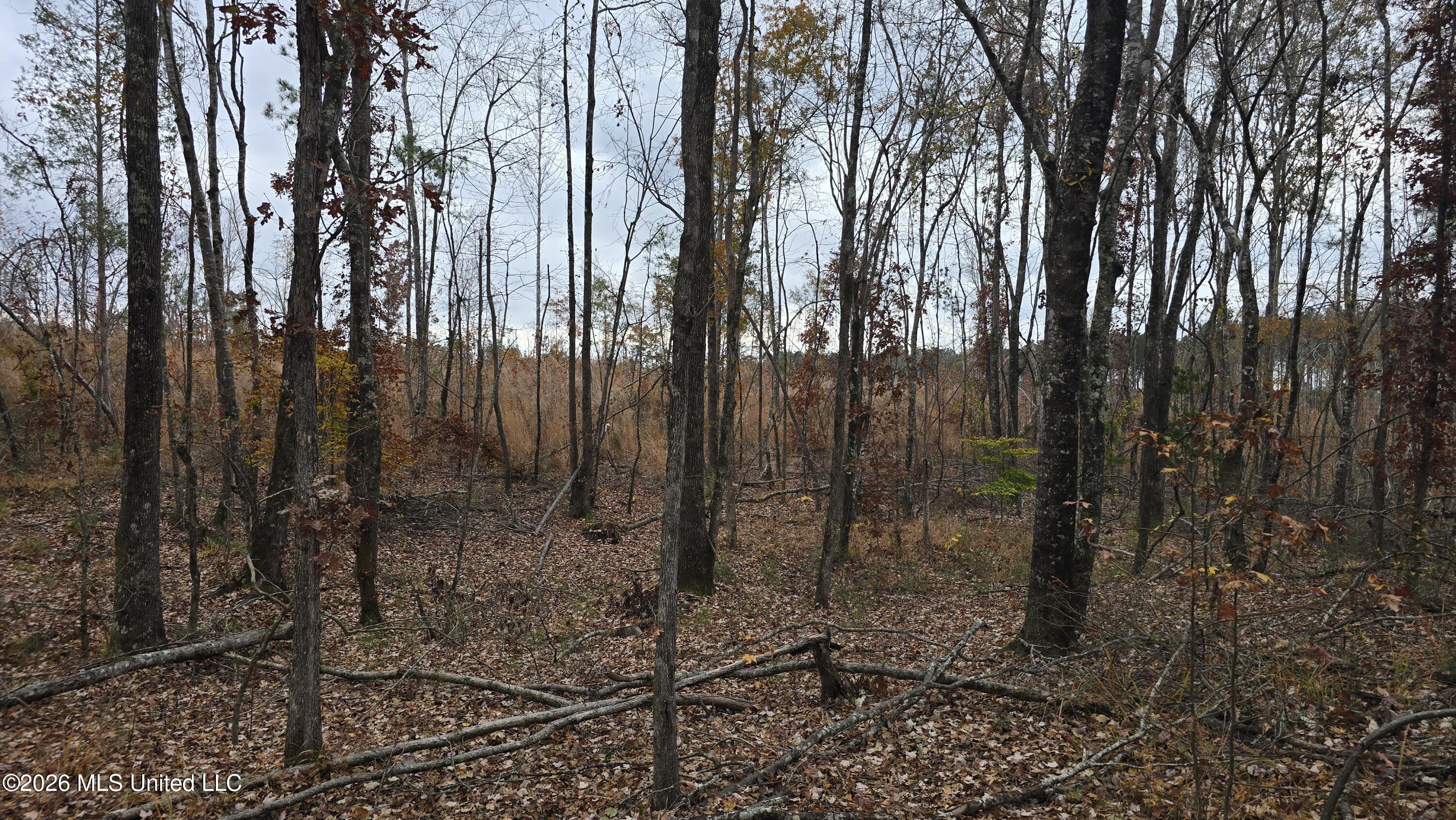 Old Trace Road McCool, MS 39108 - Photo 23 of 30 20251119_123825